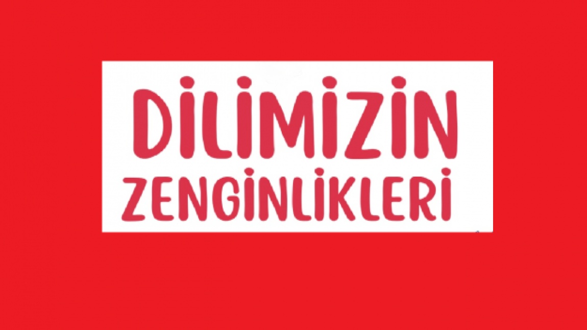 Dilimizin Zenginlikleri Projesi